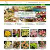 Mẫu website cửa hàng bán hoa tươi