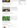 Theme WordPress Website cửa hàng bán sản phẩm dược phẩm