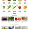Theme WordPress Website cung cấp thực phẩm xanh